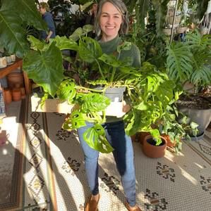 Meet your Posher, Melissa